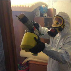 Уничтожение клопов в квартире. Ростокино